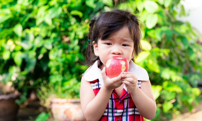 A young Asian girl eats an apple