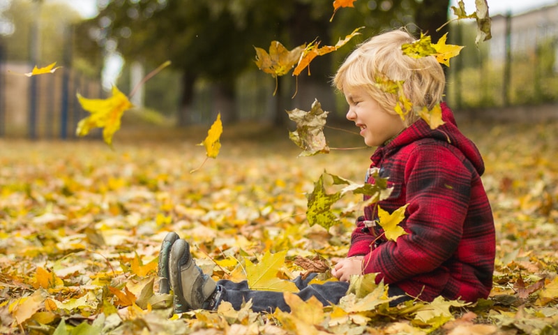 A young boy plays in autumn leaves